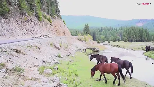 Yeşil doğada ormanda sikişmek amımı ıslatıyor