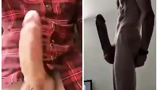 muestro mi gran pene