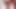2019,1