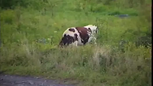 İçimdeki ani büyük aşk - bölüm 5