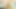Coaching Girl Sex Videos.
