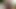 Şehvetli çük daldırma için sativa gül