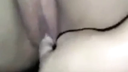 Parmak sıcak kedi içinde wc