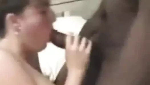 hanımları 1 siyah horoz