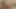 Ateşli ve seksi genç lezbiyenler birbirlerinin amını yalıyor