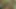 Hintli köylü seksi kızın ai kararlı dönüşümü