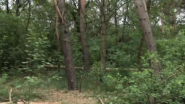 Немецкие полицейские ненасытные