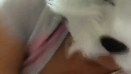 Mutlu dans eden ayaklar