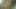 Lizzy Yum göğüslerime bir fotoğraf videosu