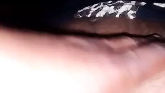 parmak desi Hint bahabi KEDİ