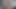 Benim güzel ev arkadaşı sierra onu kedi ile oynuyor