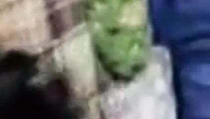 Bangladeşli kız otel seks