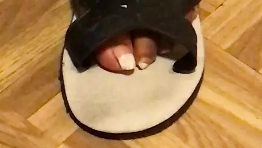 Zenci büyük toynağı