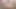Ersties - 3 seksi bayan sırayla birbirini aşağılıyor
