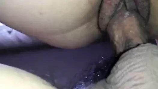 Latina eski kahrolası köpek kremsi kedi inilti