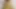 Asian Beauty with Blonde Hair: Heartfelt Romantic Moments