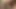 Güzel sakin ve seksi karter foxx röportajı