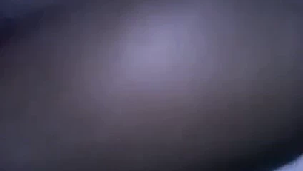 O burada ne gördüğünü istiyorsan bana e-posta gönder