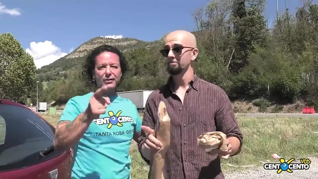 Ekmek ve Patates