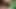 Blonde Schönheit masturbiert im Freien