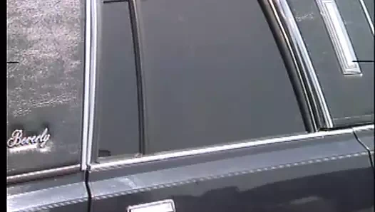 Ölümcül tutku (1991, biz, tracey adams, tam video, dvd rip)