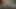 ayı alır bbc içinde otel odasında