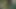 Onun fantezisi parkta inekleri bulmak ve lanet etmektir