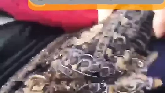 Seksi travesti büyük etini açık havada yürüyüş