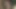 Brezilyalı büyük memeli oral seks - fuckmatcher.com