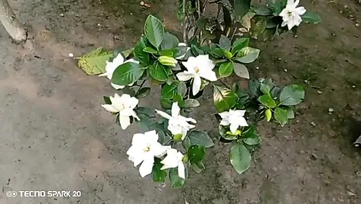 Secret Affair with My Sister-in-Law in the Backyard