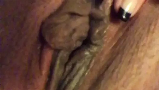 Çok azgın kedi yakın çekim.