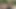 Ateşli çift şafakta kuş sesine kadar seks yapıyor.