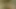 Sarışın msn yıllar önce.