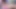 Adriana chechik trans güzelliğin güzel horoz tarafından delinmiş