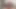 Ladyboy'un büyük yarağı penis boyutunu ölçme kasetiyle ölçmek için mastürbasyon yapıyor