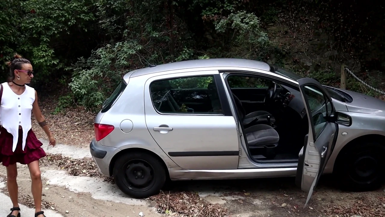 जंगल में एक जगह की तलाश है