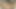 Aşırı Amcık Gırtlağına Kadar Alıyor, açıyor Ve Genişletiyor 4K