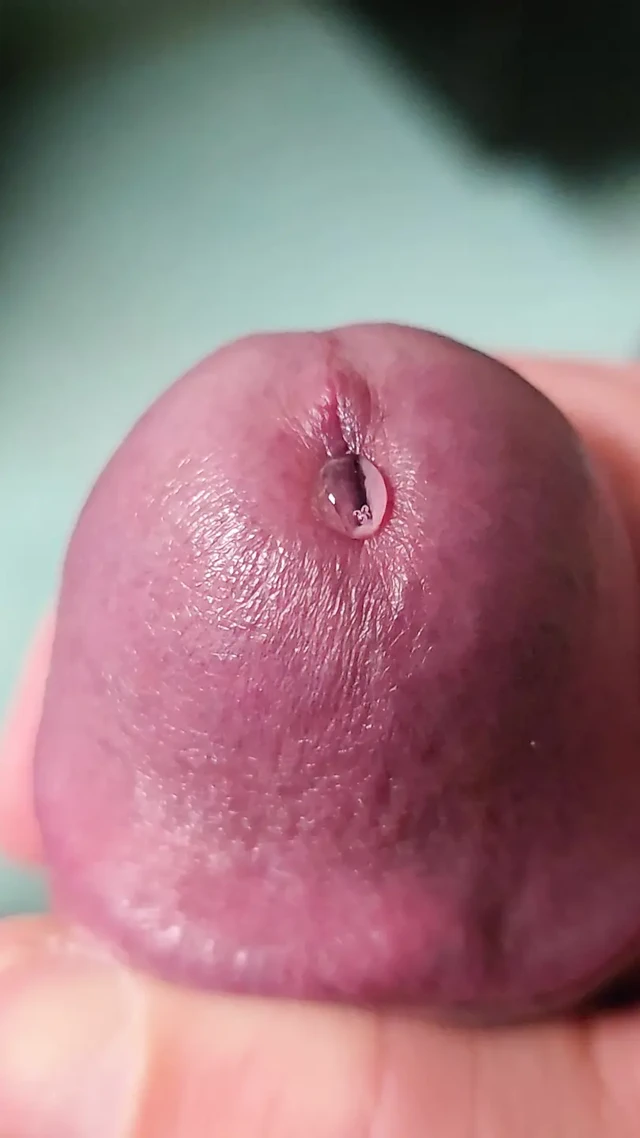 Hayran kalın damarlı zonklayan sert yarağımın yakın çekim çiş deliğini istedi