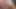 Pussie Sweets sahne 2_brunette bikinili genç layla büyük yarak ve şeker tarafından sikiliyor