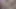 Dizüstü bilgisayarımda çalışıyordum ama üvey erkek kardeşim sikiyle dikkatimi dağıttı