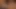 21sextury - Tiffany doll büyük dildoyla Angelica'nın götünü parçalıyor