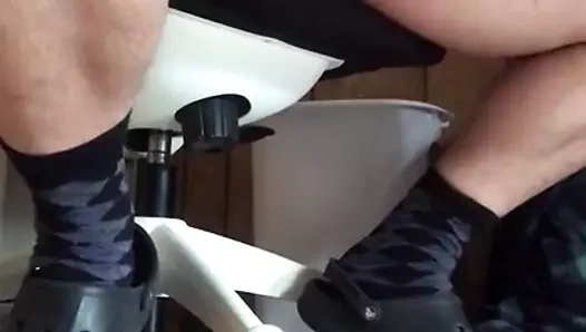 Döl ho eller