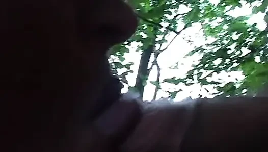 İtalyan amatör esmer kırsalda iki yarakla sikişiyor