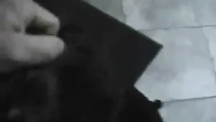 Webman - genç karısı hile