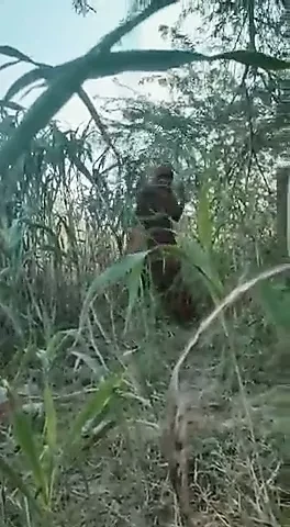 Hint saf desi kızlar kahrolası açık havada