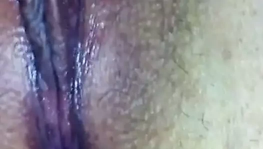 Lisa kedi için benim zevk