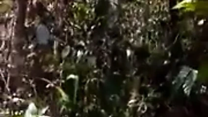 malay tudung atas kayu