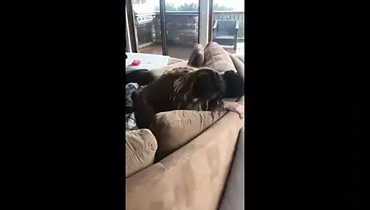 O alır bbc o ikinci gider