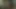 vid729812
