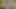 Kaba seks ile üvey kardeş içinde ağ külotlu çorap